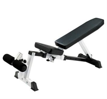 BodyCraft F320 Dumbbell / System Bench